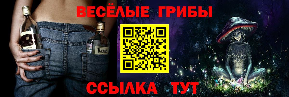 Псилоцибиновые грибы мицелий Кореновск