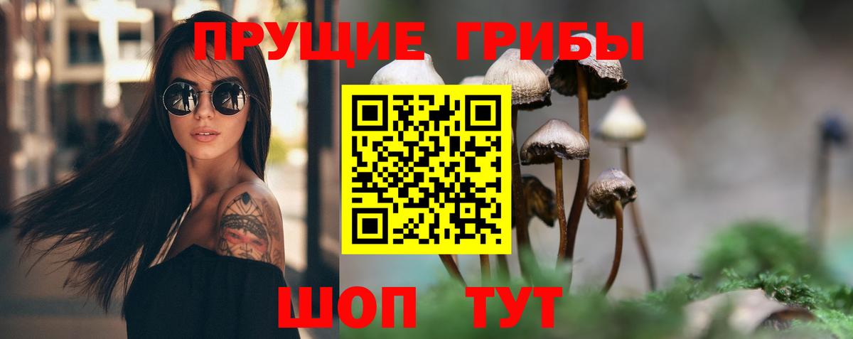 Галлюциногенные грибы Psilocybe  Вход с VPN  Кореновск 